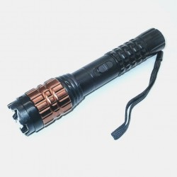 S09 Stun Gun + LED Flashlight + ZOOM + Battery + AC + Car Charger